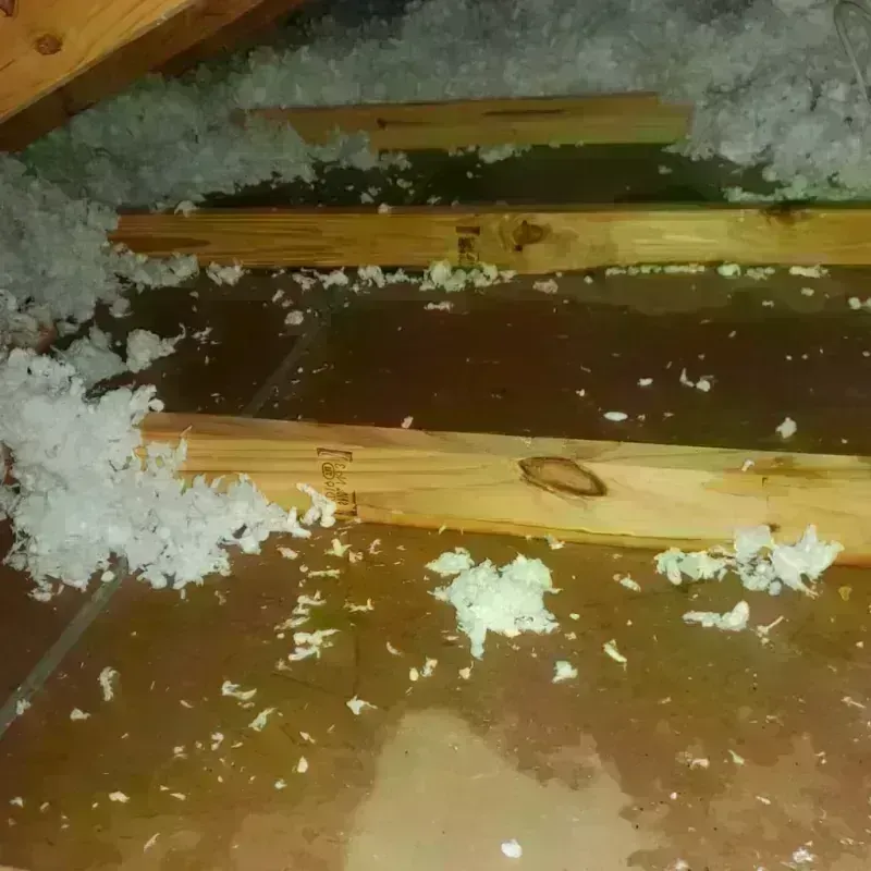 Best Attic Water Damage Service in Alpine, UT