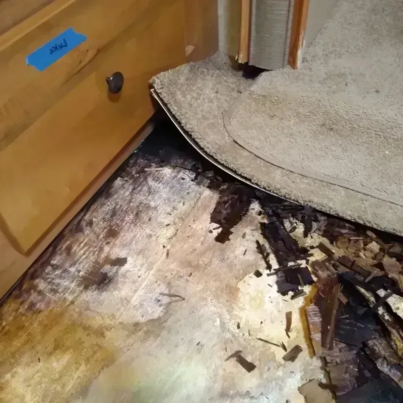 Best Wood Floor Water Damage Service in Alpine, UT